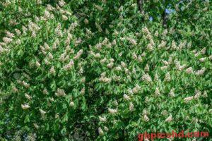 Sonnigen Nachmittag Bilder 60 with Sonnigen Nachmittag Bilder