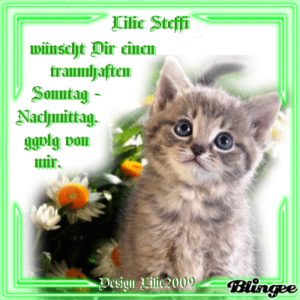 Sonntag Nachmittag Bilder Gif