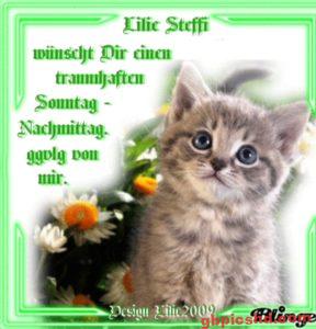 Sonntag Nachmittag Bilder Lustig