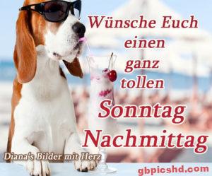 Sonntag Nachmittag Lustige Bilder