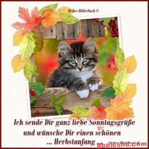 Sonntag Nachmittag Lustige Bilder