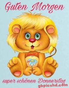 Super Nachmittag Bilder