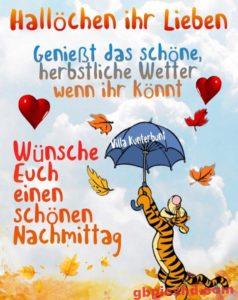 Super Nachmittag Bilder