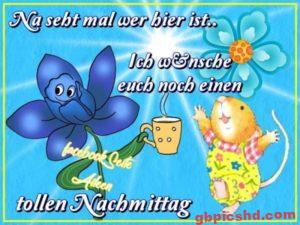 Tollen Nachmittag Bilder