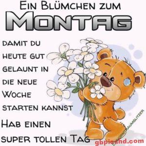 Whatsapp Bilder Montag Nachmittag