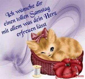 Whatsapp Bilder Nachmittag