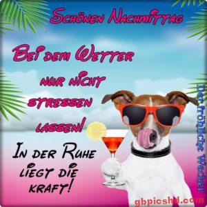 Whatsapp Bilder Nachmittag