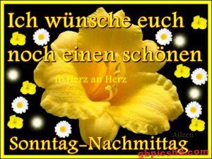 Whatsapp Bilder Sonntag Nachmittag