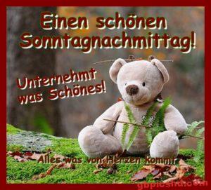 Whatsapp Bilder Sonntag Nachmittag