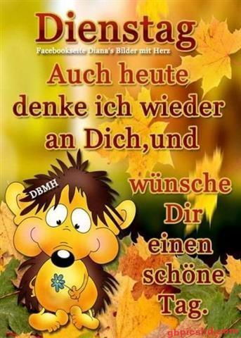 bilder-guten-morgen-dienstag_5