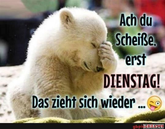 ᐅ dienstag bilder lustig kostenlos - Dienstag GB Pics dienstag-bilder-lustig-kostenlos_1