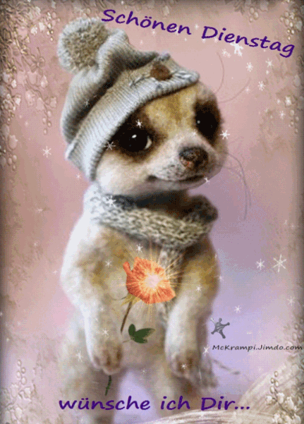 dienstag-morgen-bilder_1