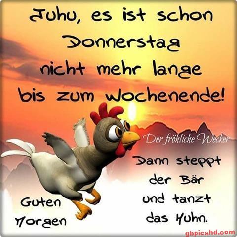 donnerstag-morgen-bilder-lustig_10
