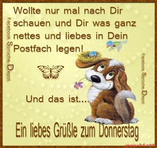 donnerstag-morgen-bilder-lustig_11