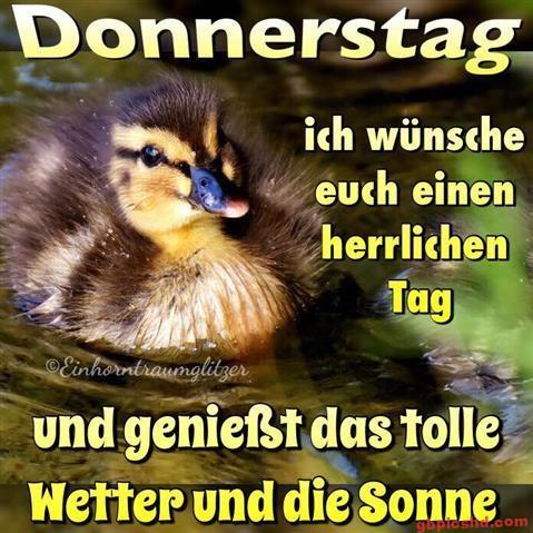donnerstag-morgen-bilder-lustig_13