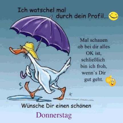 donnerstag-morgen-bilder-lustig_15