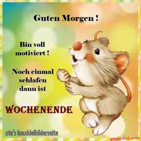donnerstag-morgen-bilder-lustig_16