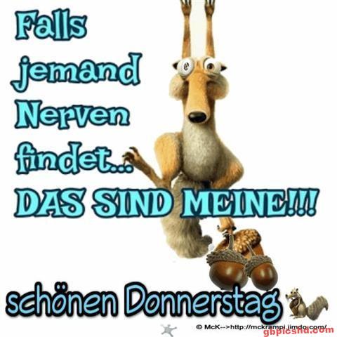 donnerstag-morgen-bilder-lustig_17