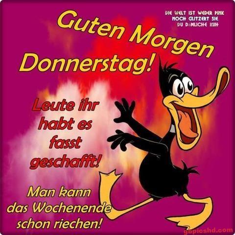 donnerstag-morgen-bilder-lustig_19