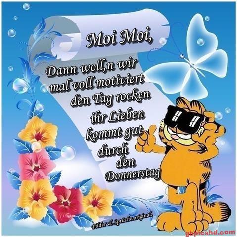 donnerstag-morgen-bilder-lustig_24