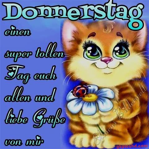 donnerstag-morgen-bilder-lustig_26