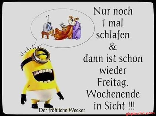 donnerstag-morgen-bilder-lustig_6