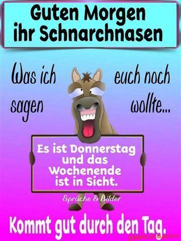 donnerstag-morgen-bilder-lustig_7