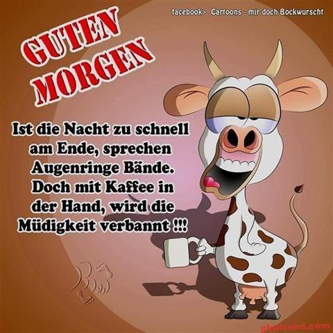 donnerstag-morgen-bilder-lustig_8