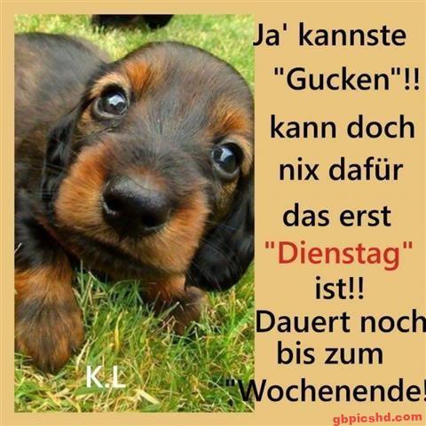 erst-dienstag-bilder_1