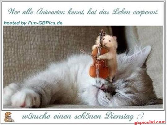 ᐅ kostenlose bilder dienstag - Dienstag GB Pics kostenlose-bilder-dienstag_1