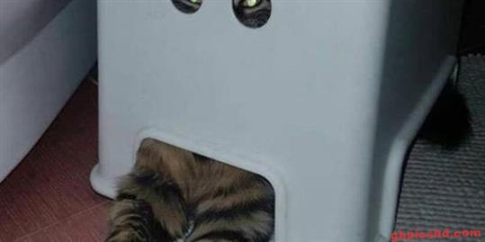 lustige-bilder-zum-dienstag_1