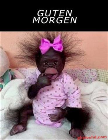 morgen-ist-donnerstag-bilder_15