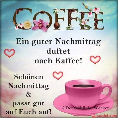 nachmittag-bilder_13