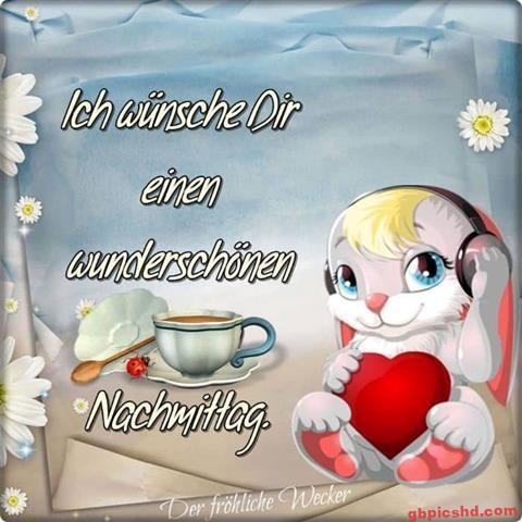 nachmittag-bilder_21