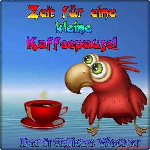 nachmittag-bilder_28