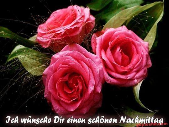 nachmittag-bilder_34