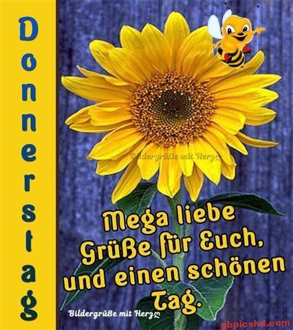 sonnigen-donnerstag-bilder_12