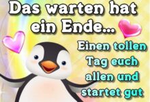 ᐅ Freitag Bilder - Nachmittag GB Pics
