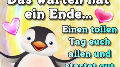 ᐅ Freitag Bilder - Freitag GB Pics
