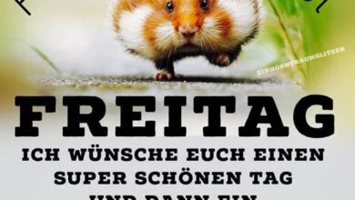 ᐅ freitag lustig - Freitag GB Pics