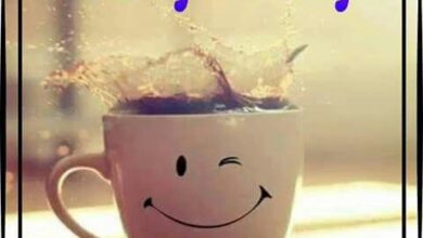 ᐅ Guten Morgen Wochenende - Guten Morgen GB Pics