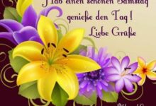 ᐅ Schönen Samstag - GB Pics