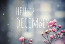 ᐅ bilder hallo dezember - Donnerstag GB Pics