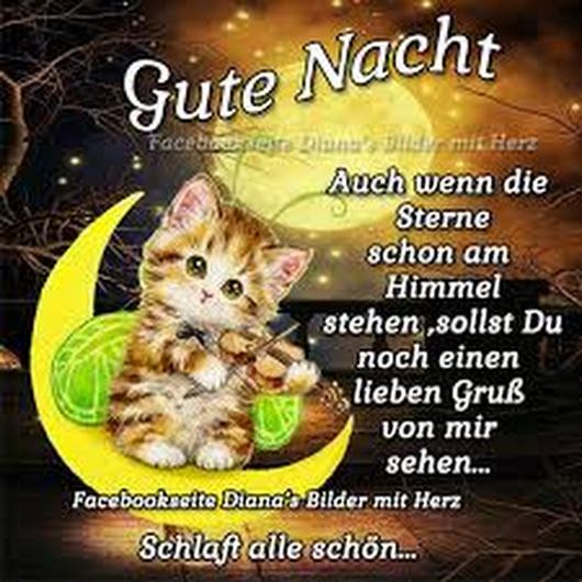 ᐅ dianas bilder mit herz gute nacht - Guten Morgen GB Pics dianas bilder mit herz gute nacht