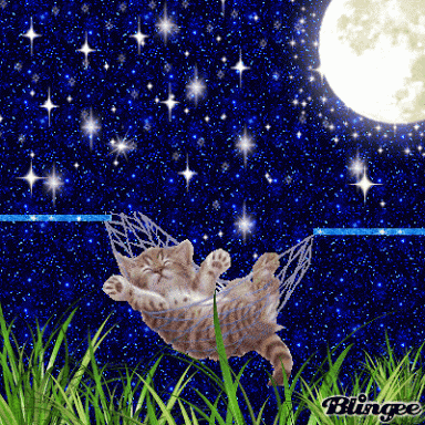 Gute nacht gif bilder kostenlos 022