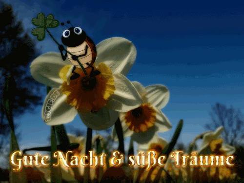 Gute nacht gif bilder kostenlos 026