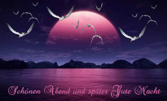 Gute nacht gif bilder kostenlos 031