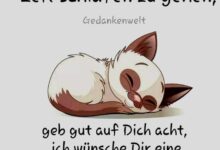 ᐅ gute nacht lustige bilder - Wochentage Bilder GB Pics