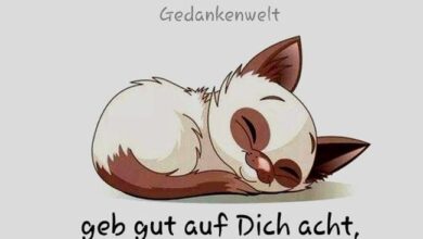 ᐅ gute nacht lustige bilder - Gute Nacht GB Pics