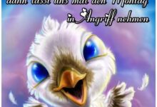 ᐅ guten morgen montag bilder witzig - Nachmittag GB Pics